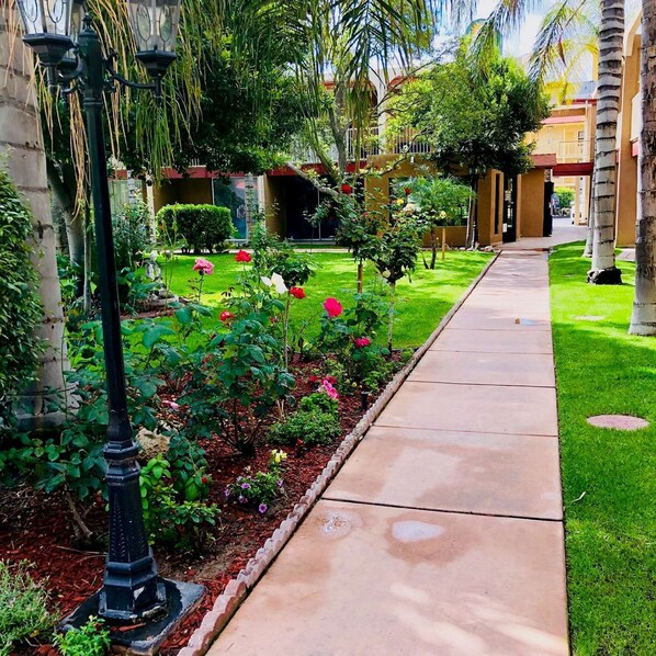 A pathway lined with a flower bed and a lamp post. - Clarion Hotel Bakersfield North (Bakersfield)