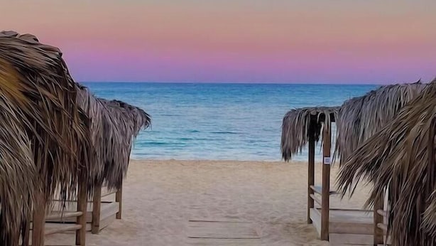 A beach pathway leading to the ocean with thatched umbrellas. - Dome Beach Marina Hotel and Resort (Ayia Napa)