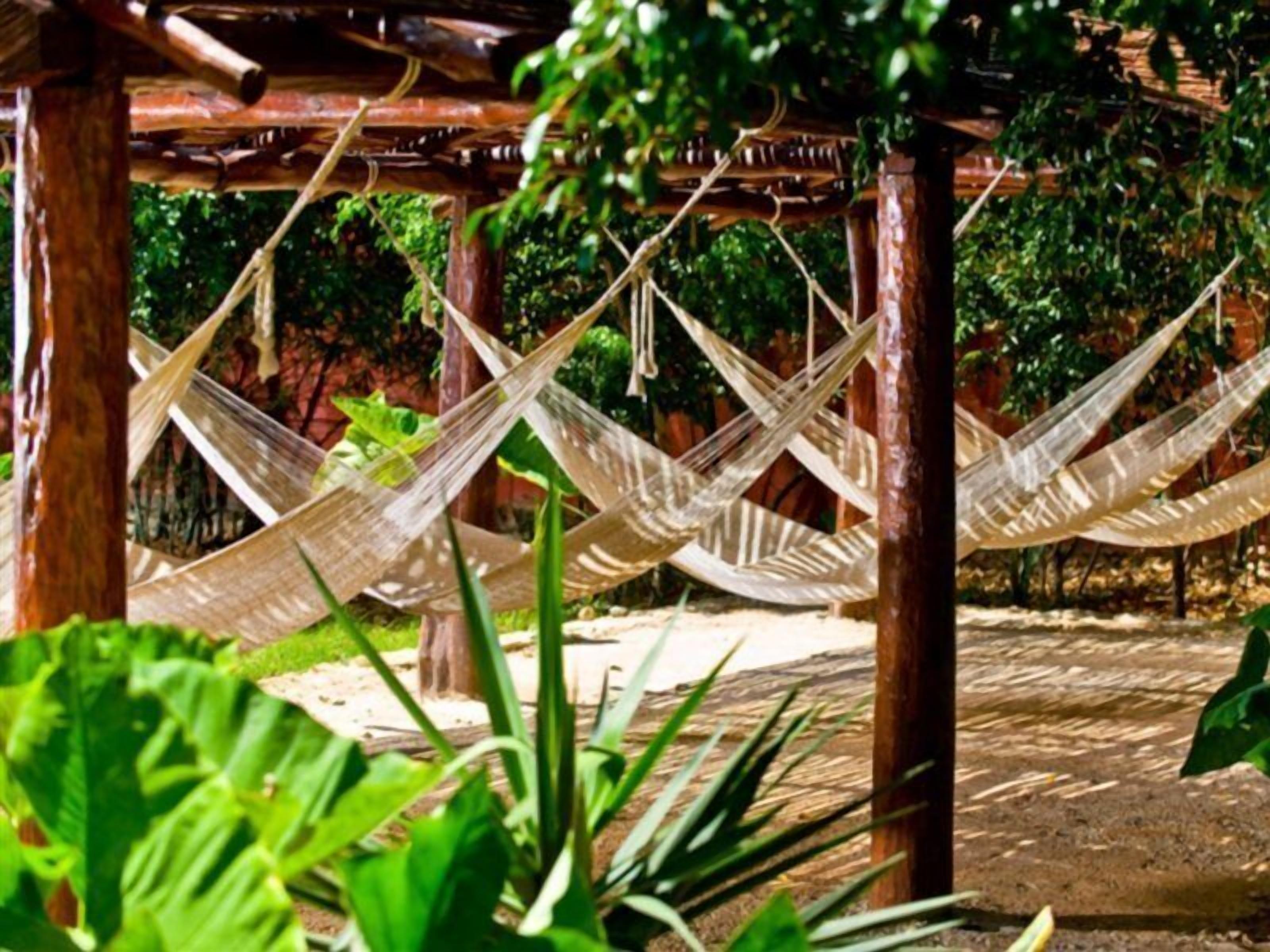 A hammock under a wooden pergola with greenery in the background.