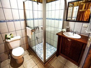 Ein Badezimmer mit Toilette, einer Dusche mit Glastür, Waschbecken und Spiegel.