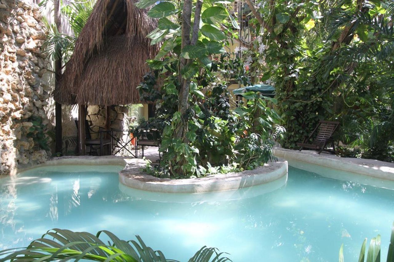 A pool surrounded by lush greenery and a thatched-roof structure.