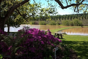 Un cadre paisible au bord du lac, avec une table de pique-nique et de magnifiques fleurs aux couleurs vives.