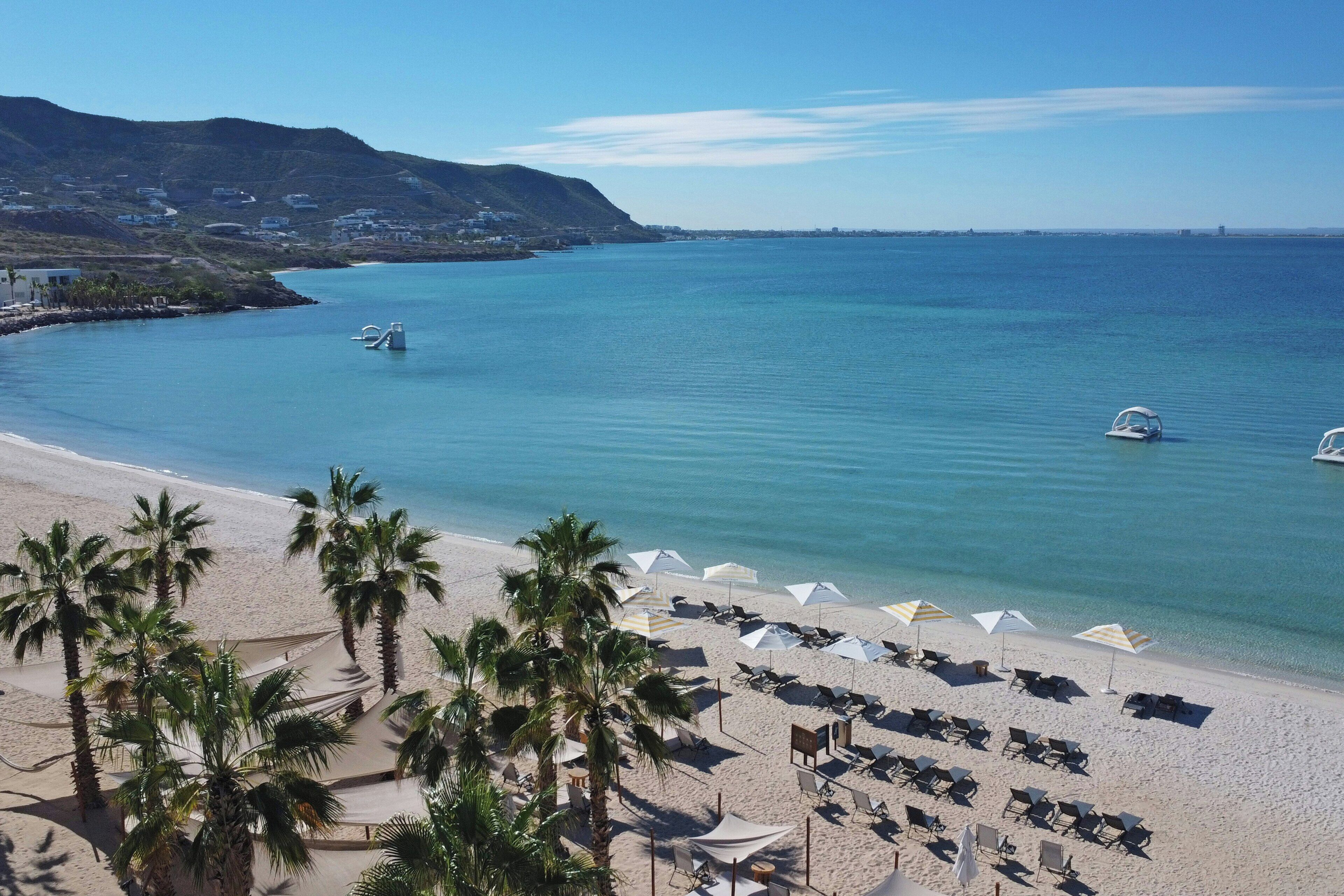 Una playa con filas de tumbonas y sombrillas, palmeras y una vista despejada del mar.