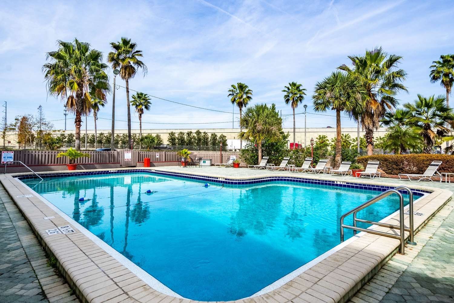 A rectangular swimming pool with a tiled edge, surrounded by lounge chairs and palm trees.