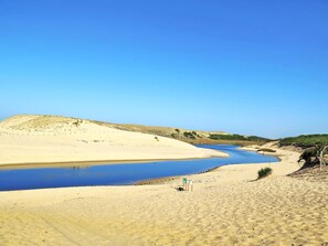 A desert landscape with a river, sandy dunes, and sparse vegetation. - Clairière aux Chevreuils by Interhome (Moliets)