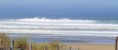 Playa