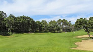 Un campo de golf con un green impecable, bunkers de arena y una bandera que marca el hoyo.