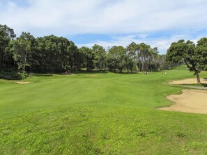 Ein Golfplatz mit einem gepflegten Grün, Sandbunkern und einer Fahne, die das Loch markiert.