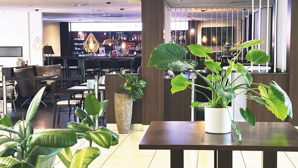A hotel lobby with a bar area, seating arrangements, and large potted plants. - Select Hotel Mainz (Mainz)