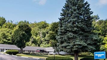 A hotel entrance with a driveway leading to a building, a large evergreen tree, and a sign for the Rodeway Inn.