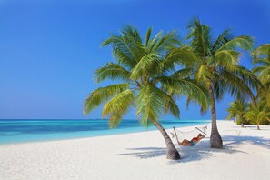 A beach with white sand, clear blue water, and palm trees. - Kuredu Island Resort & Spa (Kuredu Island)