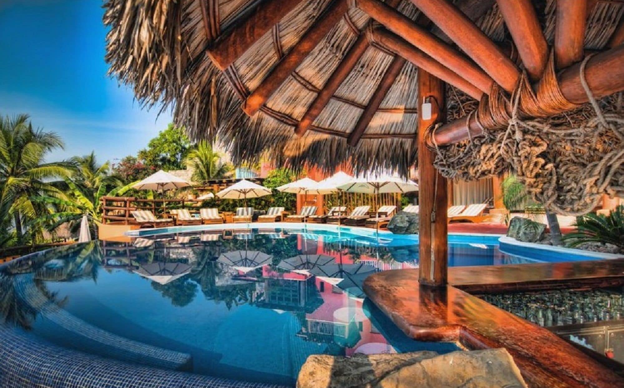 Un área de piscina con sillones de descanso y sombrillas, rodeada de vegetación tropical.
