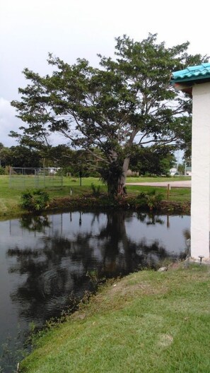 Property grounds - Days Inn & Suites by Wyndham Lake Okeechobee (Okeechobee)