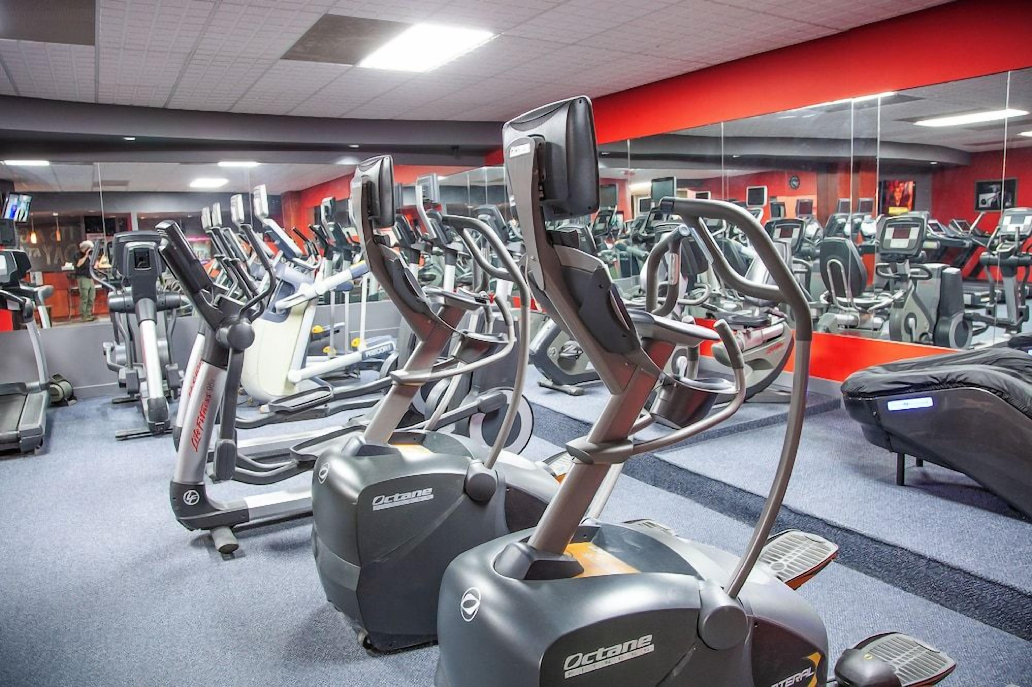 A gym with multiple cardio machines, including treadmills and elliptical trainers, arranged in rows.