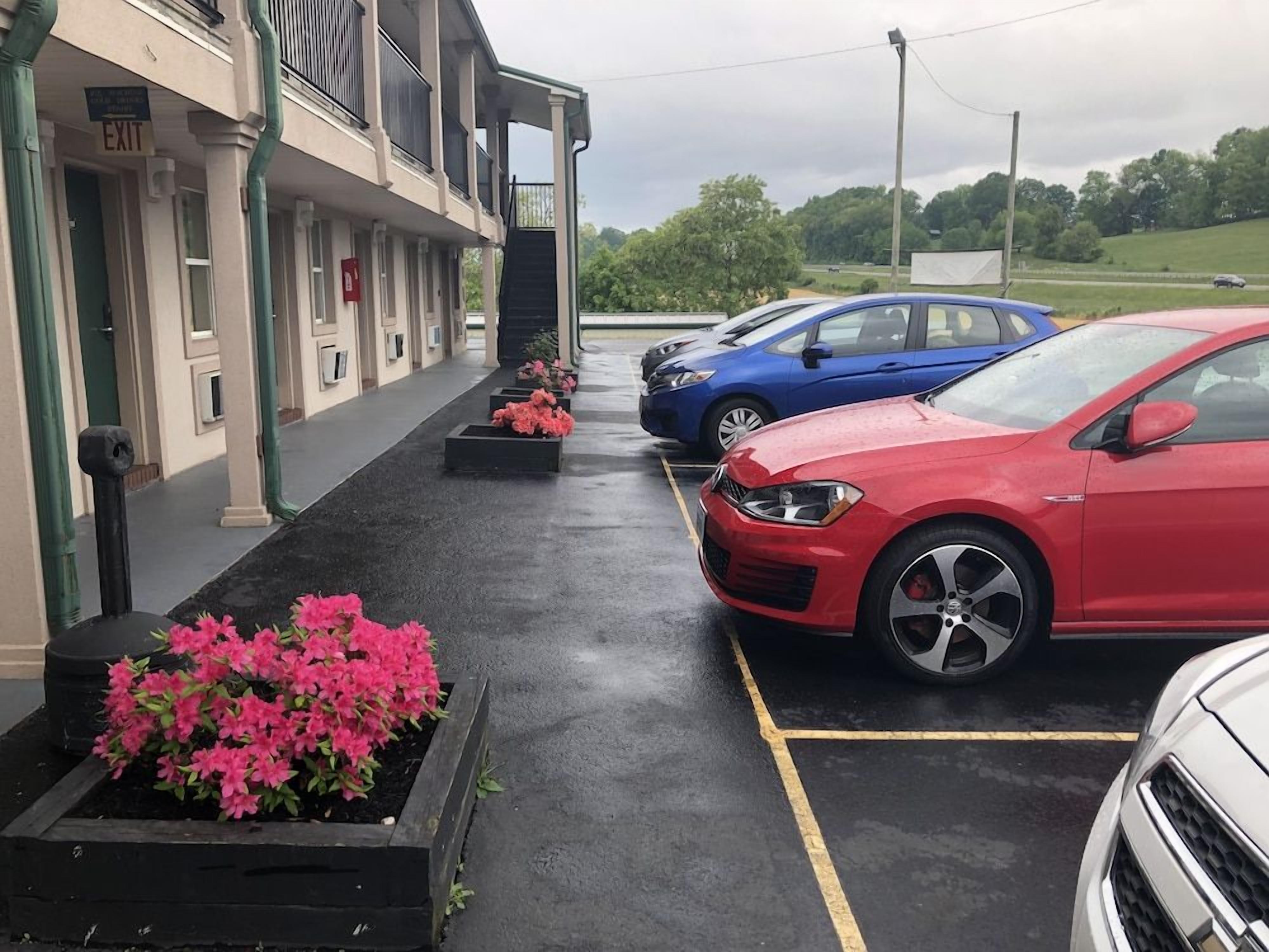 A parking area with cars, a building with an 'EXIT' sign, and a flower bed with pink flowers.