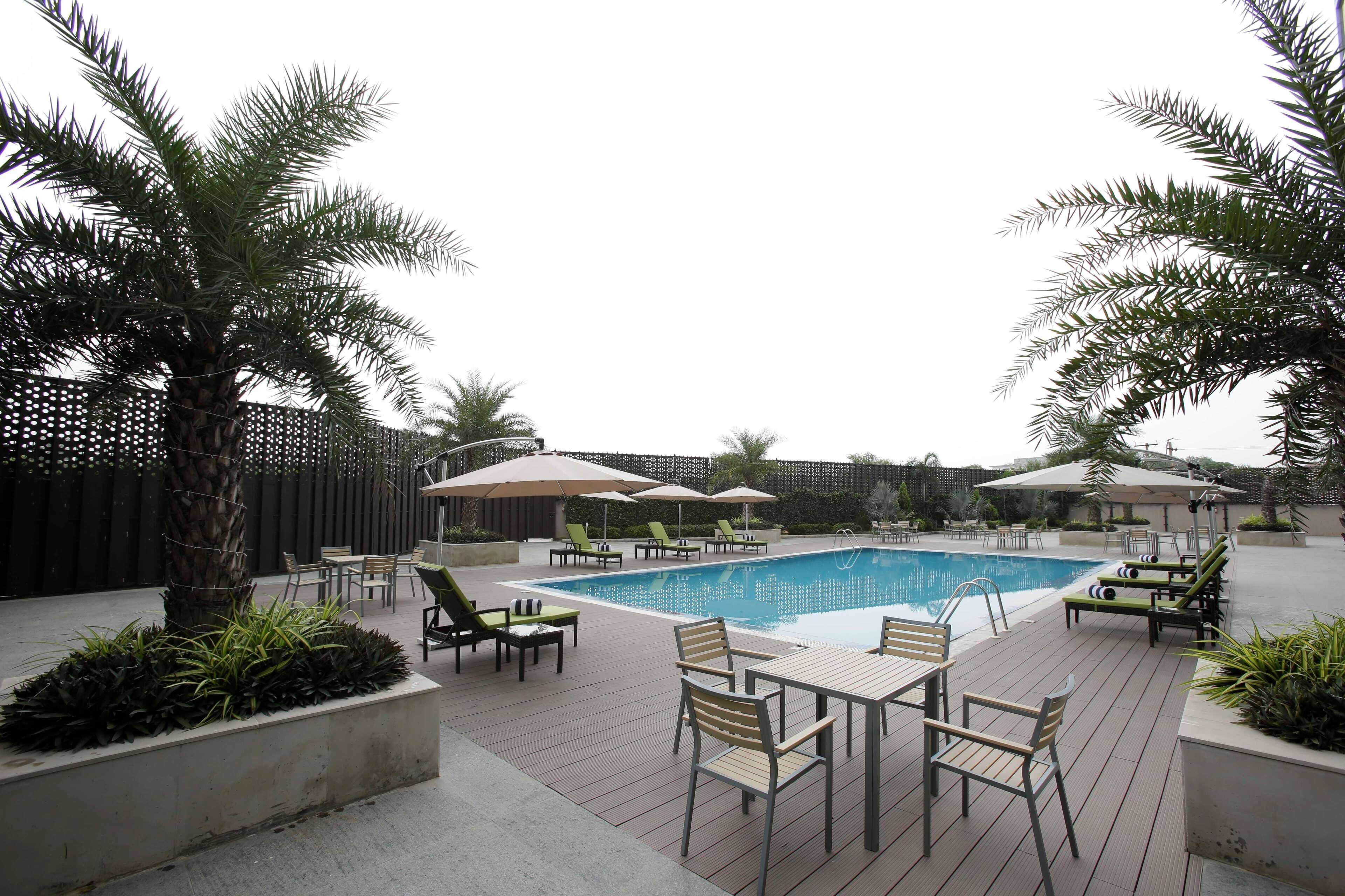 A pool area with lounge chairs and umbrellas, surrounded by palm trees and a wooden deck.