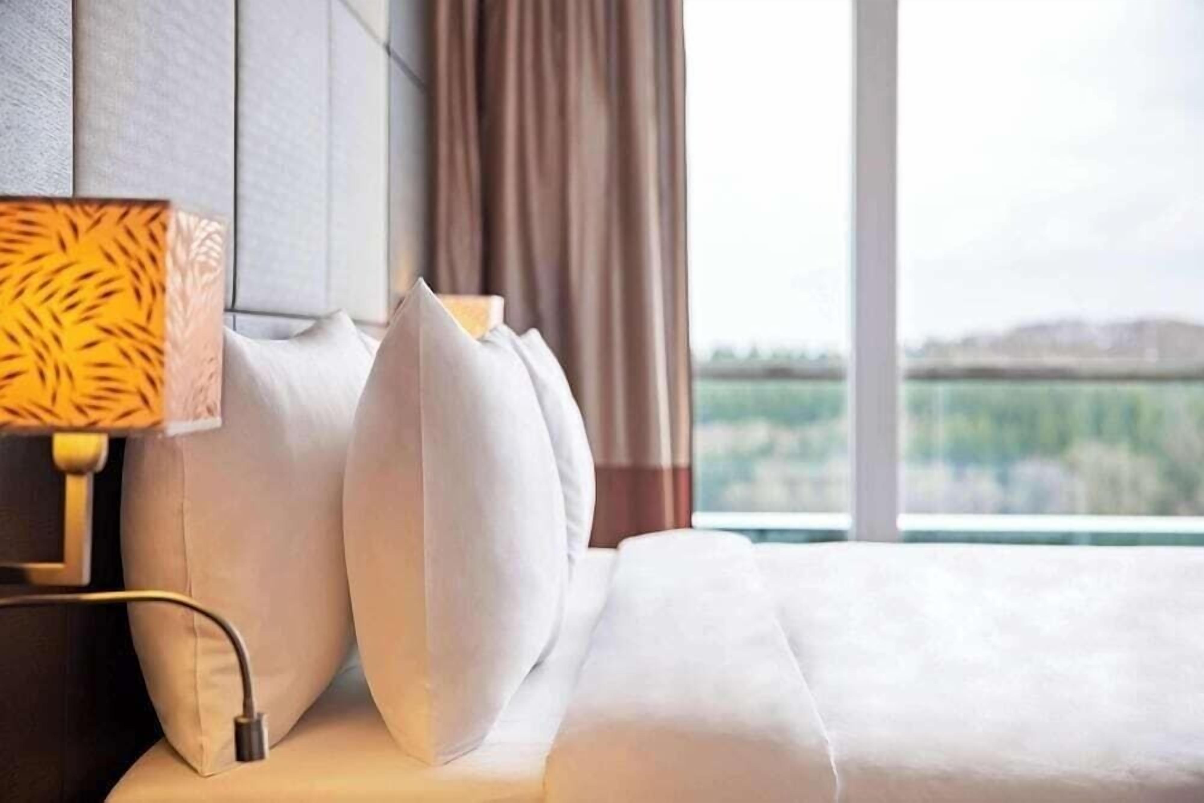 Une chambre d’hôtel avec un lit, des oreillers, une lampe et une vue par la fenêtre.