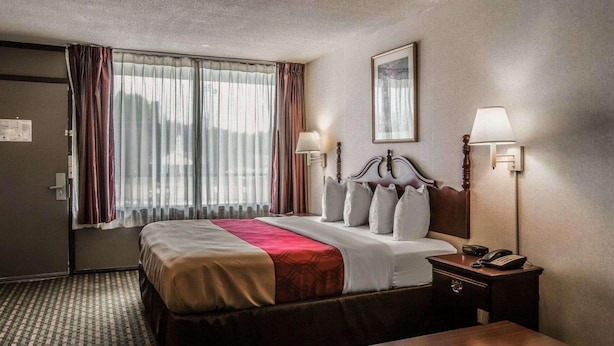 Una habitación de hotel con cama, lámparas de noche, escritorio y teléfono.