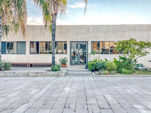 Un edificio moderno con fachada plana, amplios ventanales y un área de entrada pavimentada con plantas en macetas.