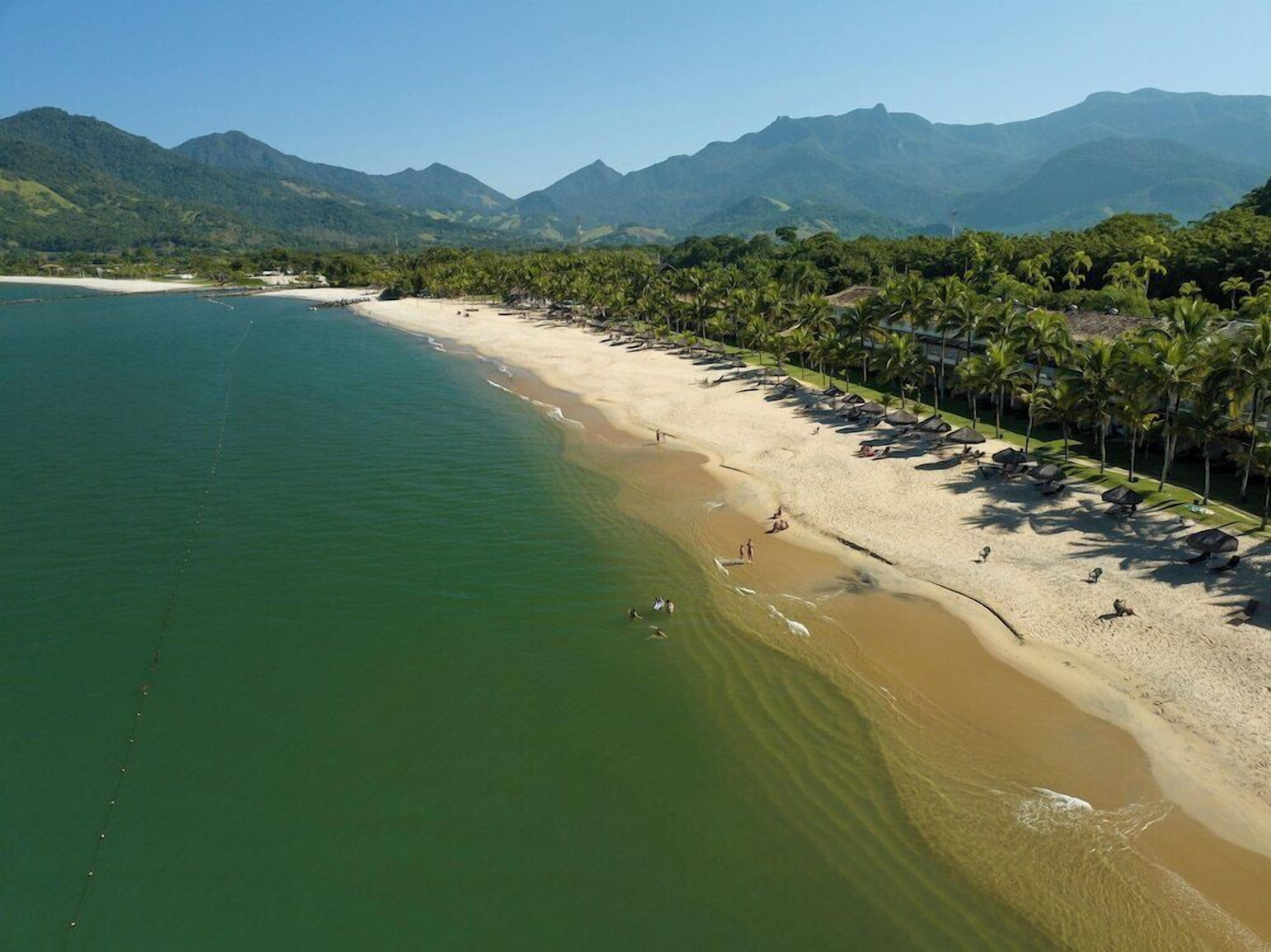 Uma praia com vista clara do oceano, uma faixa de areia e uma fileira de palmeiras.