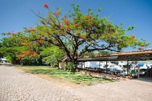Un camí pavimentat, una zona d'estar a l'aire lliure coberta i un arbre amb flors vermelles.