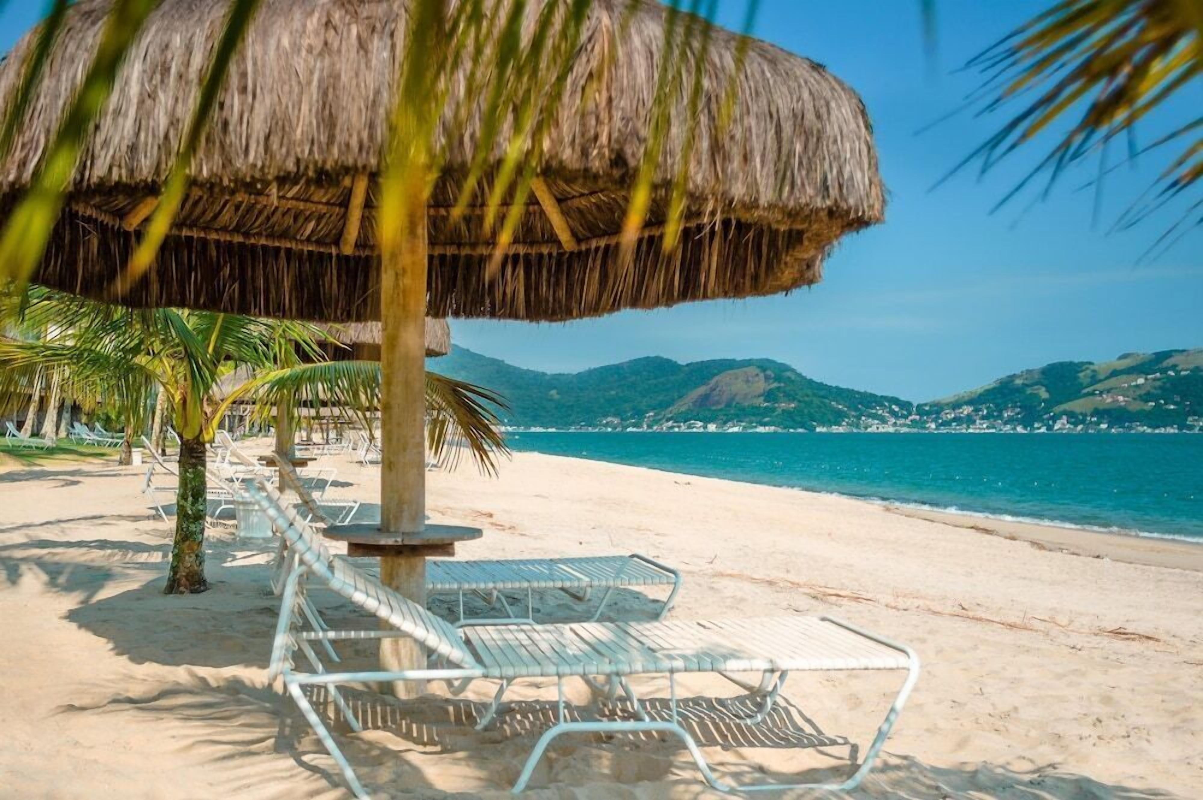 Een strand met rieten parasols, ligstoelen en palmbomen.