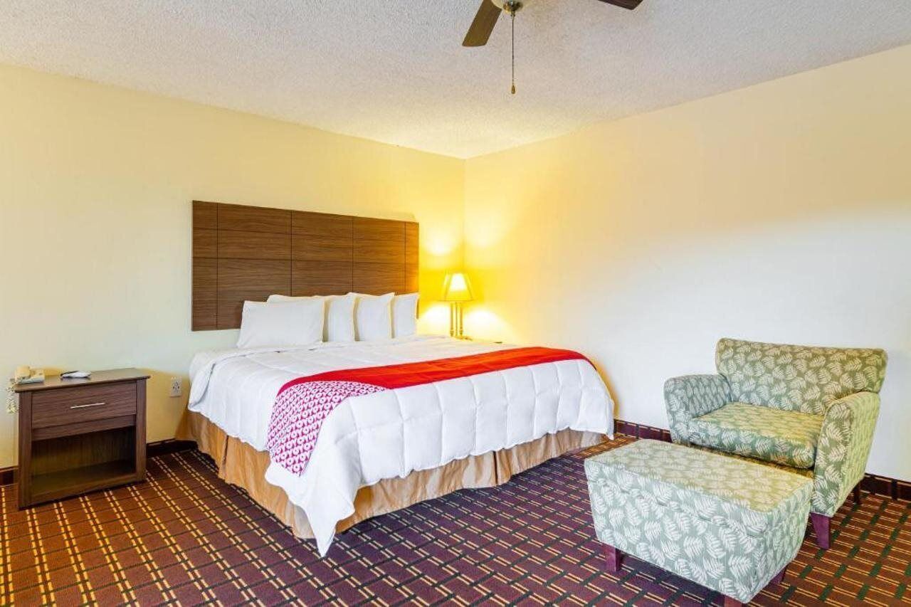 Habitación de hotel con cama, mesita de noche, lámpara, silla y alfombra estampada.