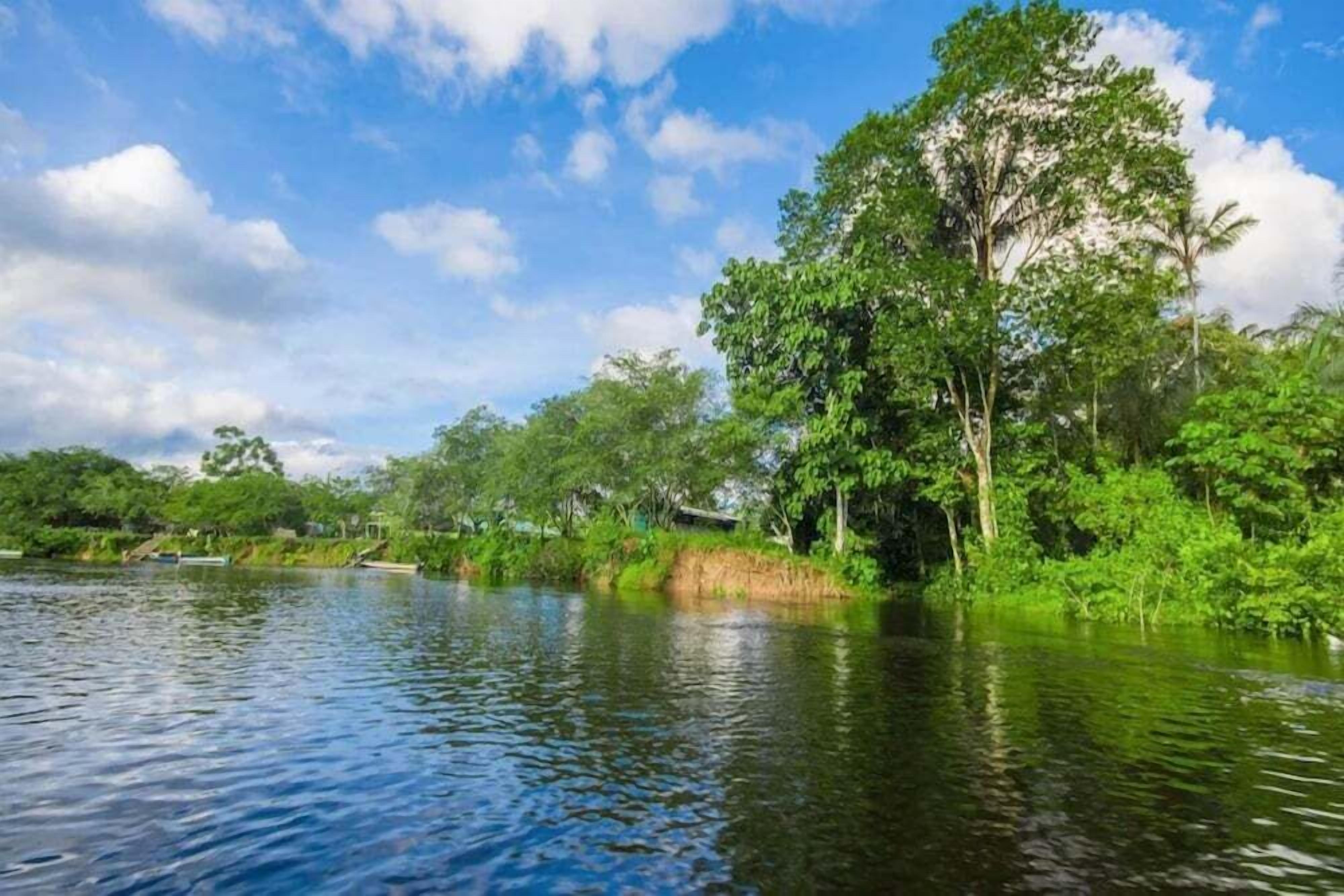 A river with trees and a clear sky.