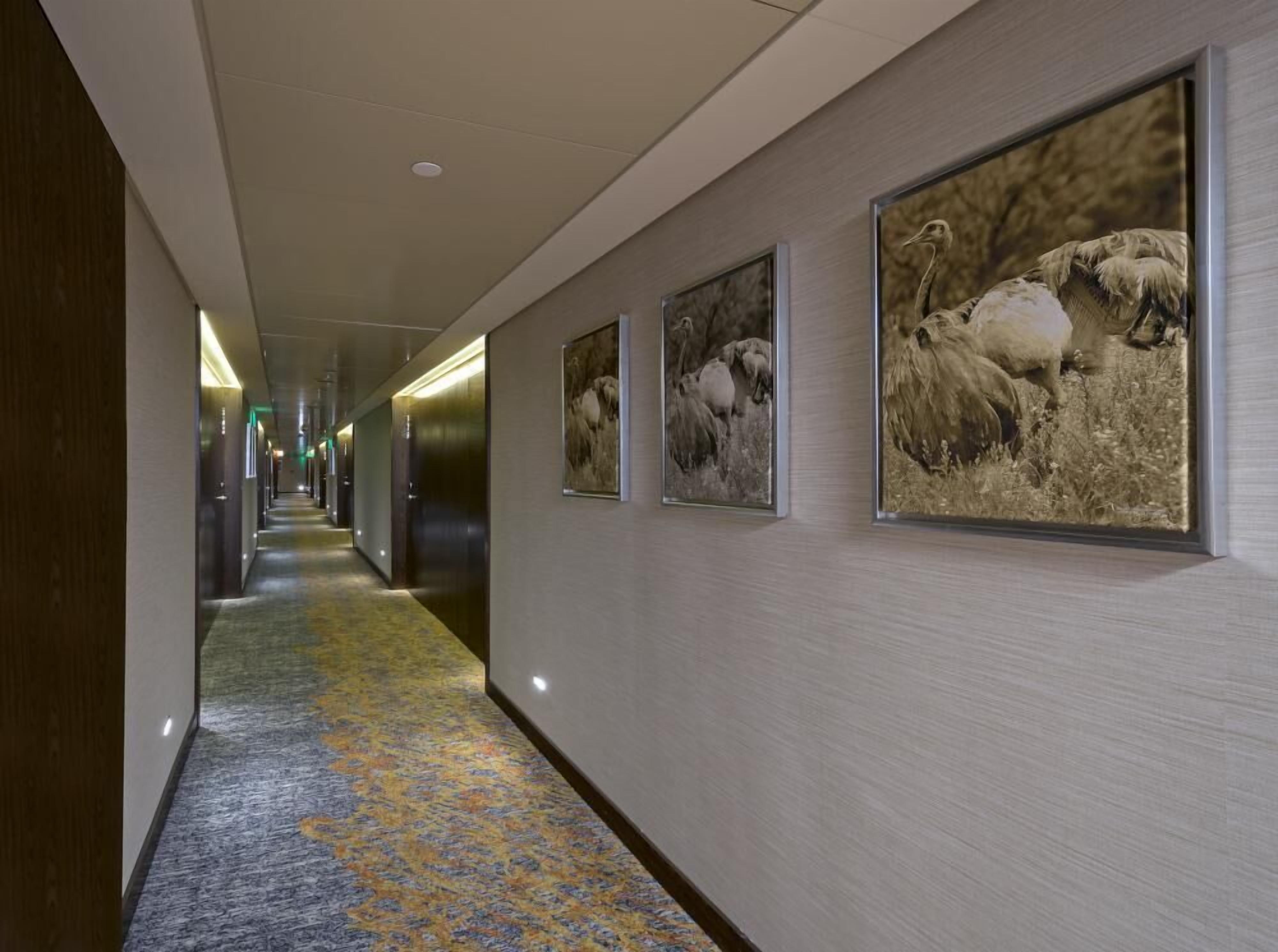 Un pasillo con alfombra estampada, fotografías de fauna enmarcadas en la pared y un largo corredor con puertas.