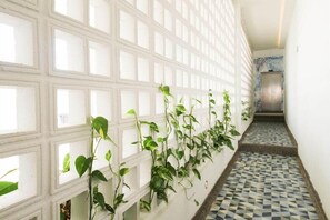 Interior - Azure Lofts And Pool (San Andrés)