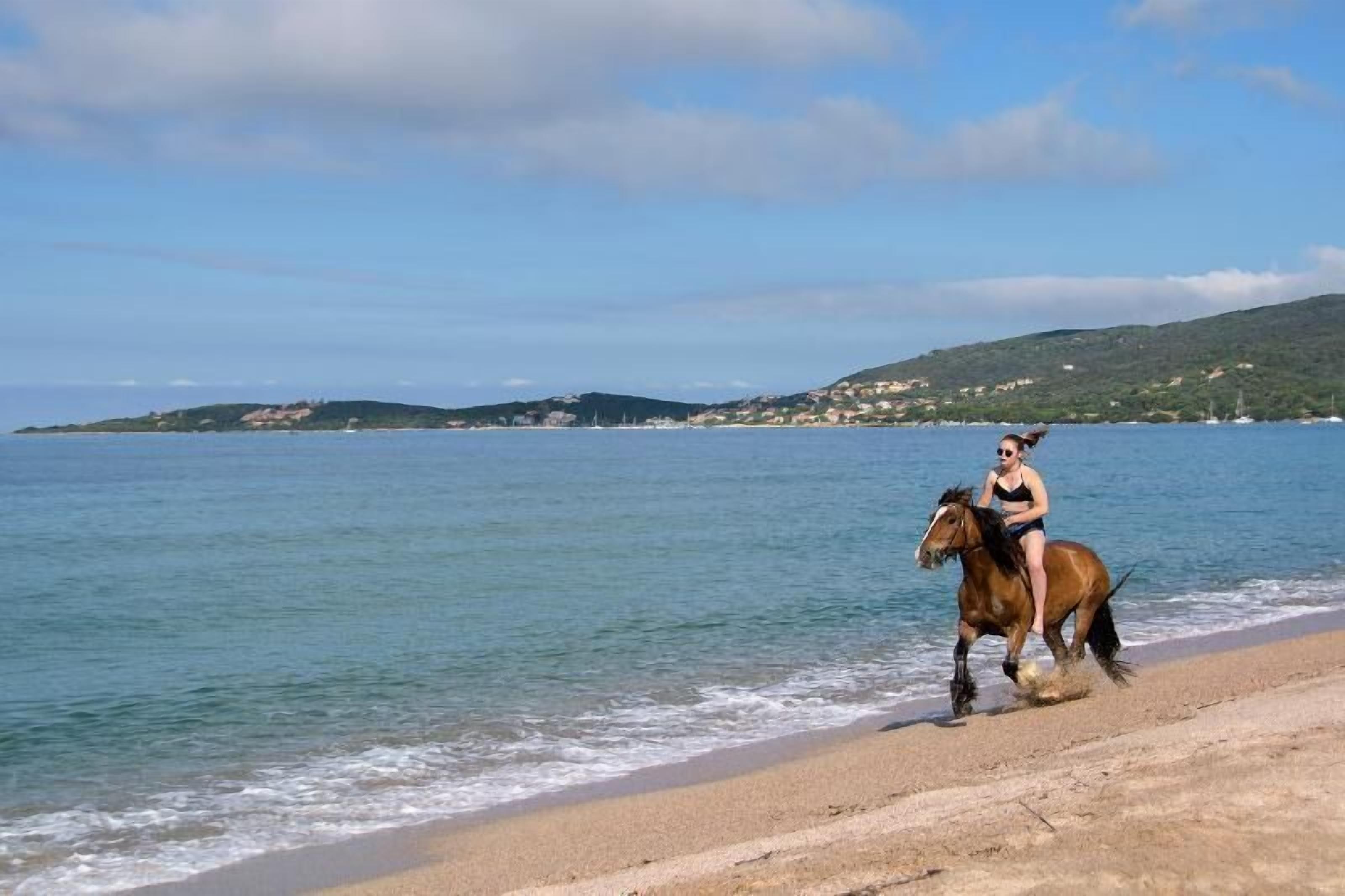 Une plage avec un cheval et son cavalier, une mer calme et des collines à l’horizon.