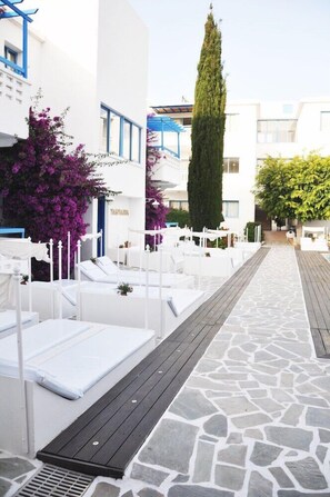 A hotel courtyard with white lounge chairs, a stone pathway, and a tall tree. - Tasmaria Aparthotel (Paphos)