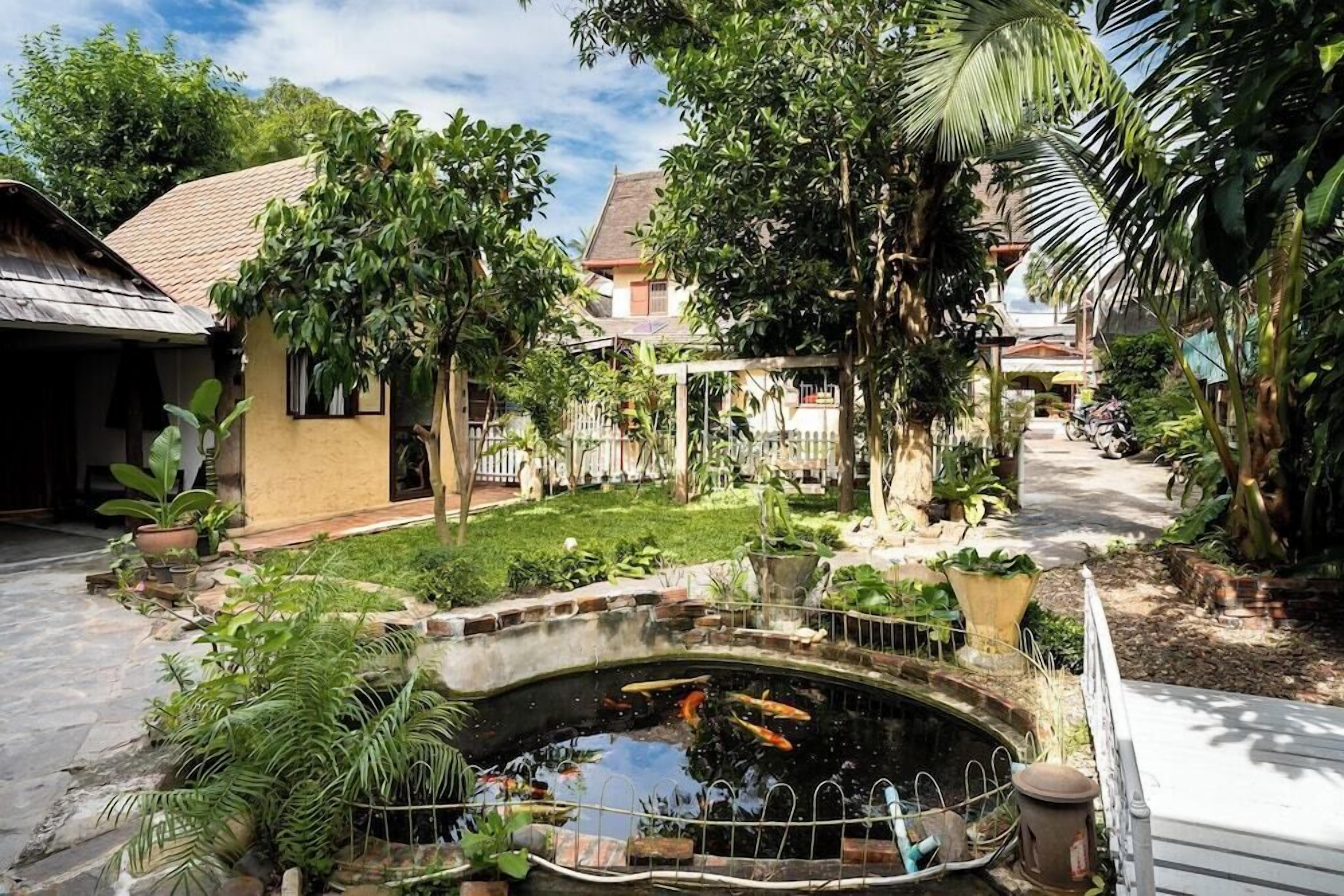 A courtyard with a pond, potted plants, and a pathway leading to a house.