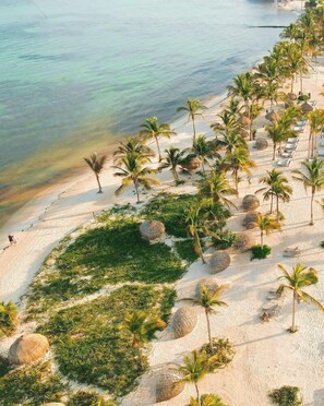 An aerial view of a beach with palm trees, lounge chairs, and a clear view of the ocean. - Impression Moxché by Secrets Adults Only (Playa del Carmen)
