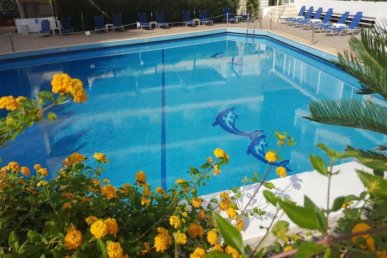A swimming pool with clear blue water, surrounded by lounge chairs and yellow flowers.