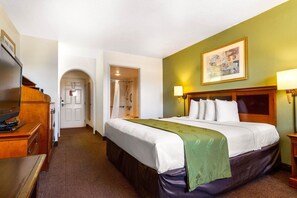 Une chambre d’hôtel équipée d’un lit, d’une télévision, d’un bureau et d’une douche.
