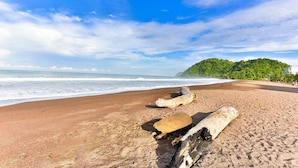 A beach with driftwood, ocean waves, and a forested hill in the background. - Best Western Jaco Beach All Inclusive Resort (Jacó)