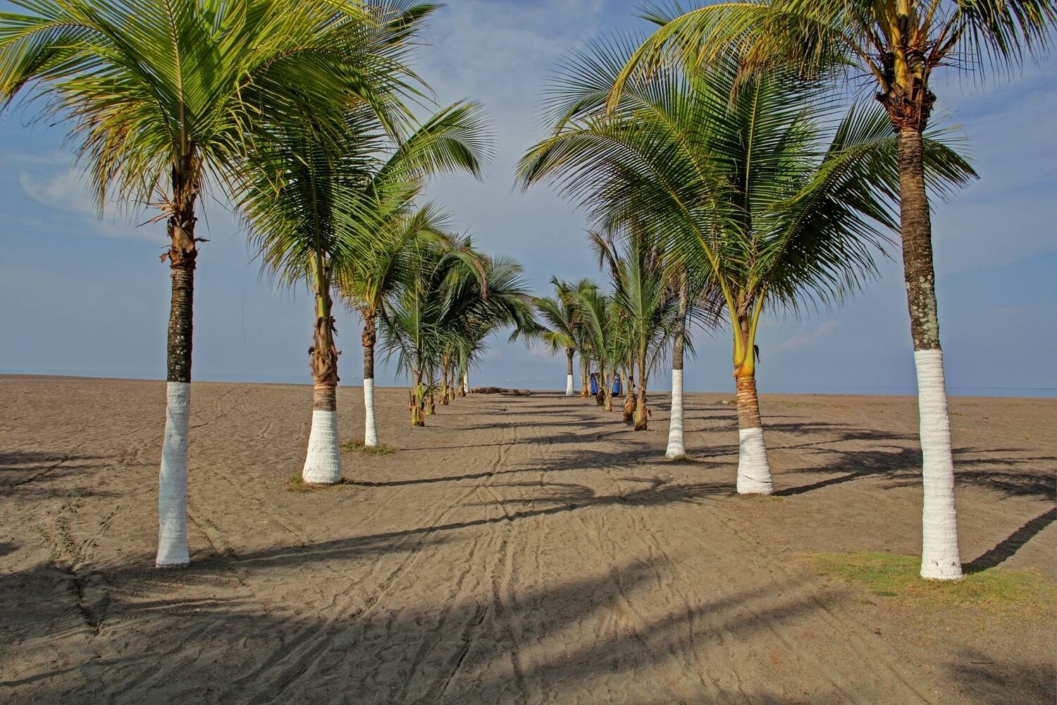 Beach towels, beach volleyball