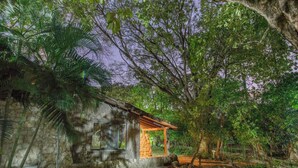 A rustic stone building with a wooden porch, surrounded by dense foliage and trees. - Hacienda La Pacifica (Cañas)