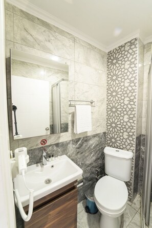 Une salle de bain équipée d’un lavabo, d’un miroir, de toilettes et d’une douche.