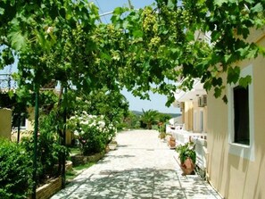 Property grounds - Blue Sea Hotel (Corfu)