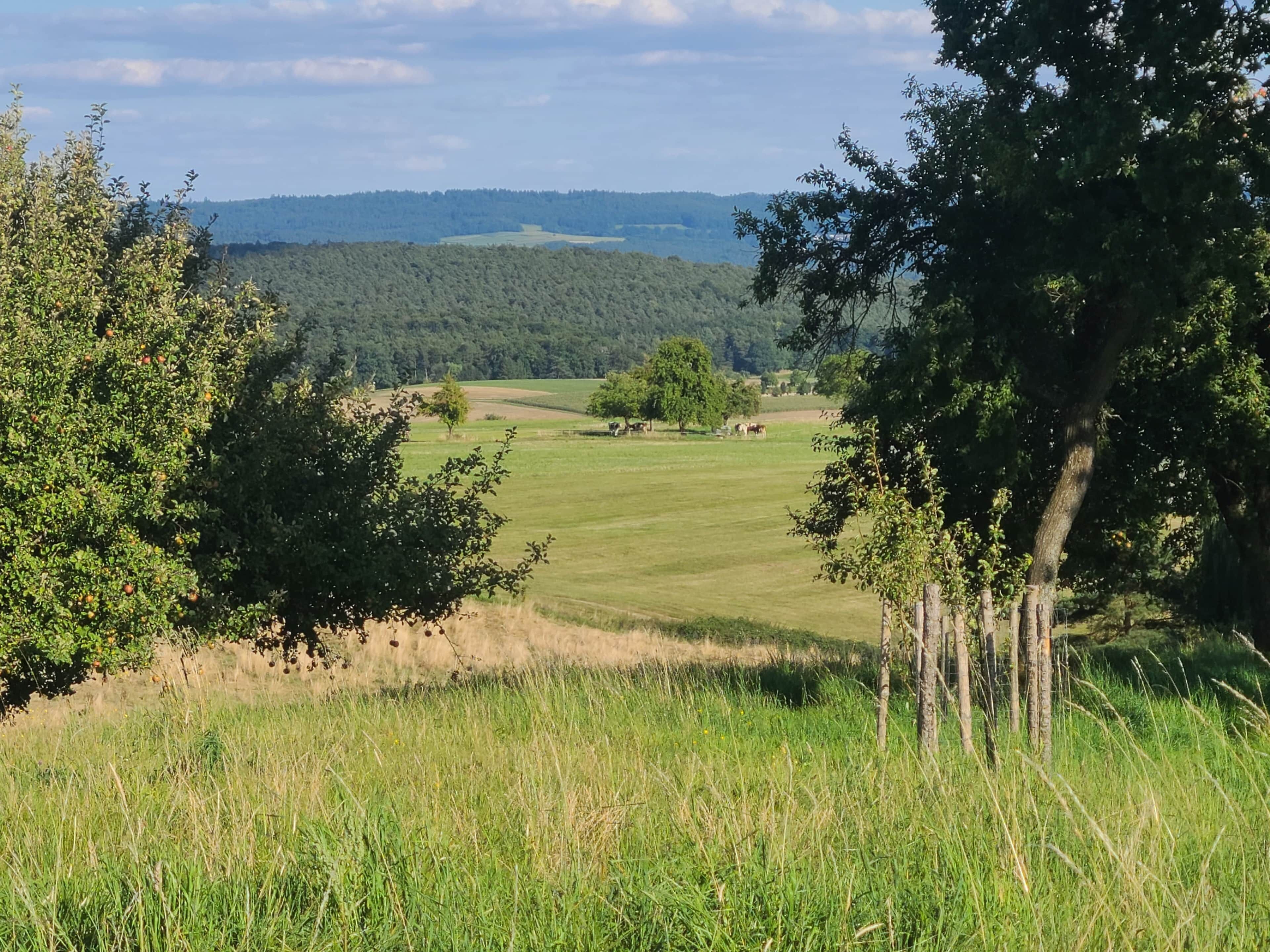 A rural landscape with a field, trees, and distant hills.