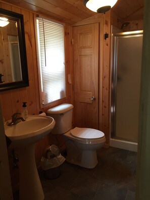 Shower, hair dryer, towels, toilet paper