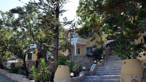 A stone staircase leading to a building with a stone wall and potted plants. - Bali Mare (Mylopotamos)