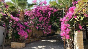 A cobblestone pathway flanked by vibrant pink bougainvillea vines and palm trees, leading to a stone wall. - Bali Mare (Mylopotamos)