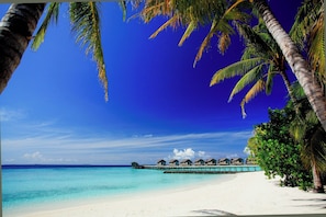 Beach - Centara Ras Fushi Resort and Spa Maldives - Adults Only (Giravaru)