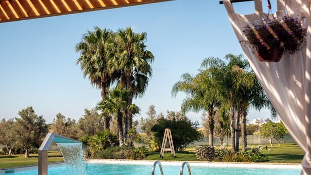 Una piscina con un muelle de madera, rodeada de palmeras y césped.
