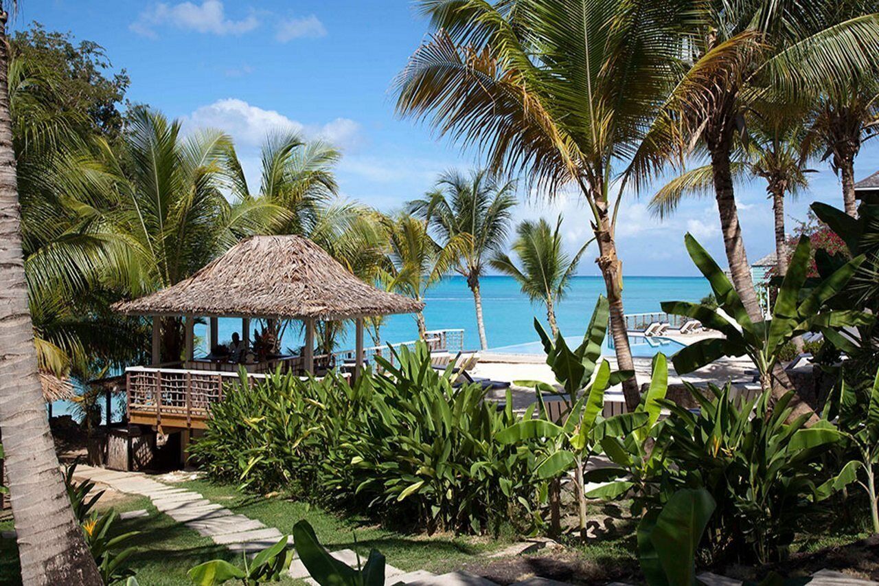 A tropical resort with a thatched-roof structure, palm trees, a pool, and a clear view of the ocean.
