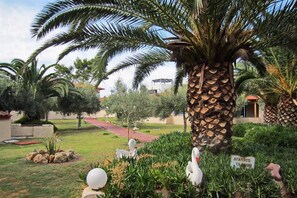 A garden with palm trees, a red pathway, and a sign that reads 'AFATATE TAMON.' - Sousouras Beach Hotel and Bungalows (Kassandra)