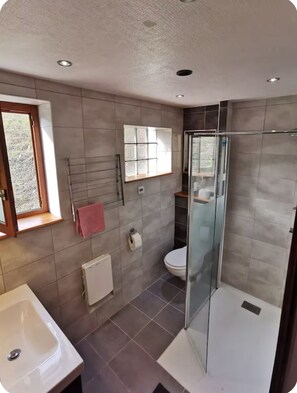 Shower, hair dryer, towels, toilet paper - Cosy chalet on the edge of the forest (Bitschwiller-lès-Thann)